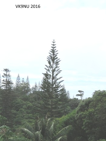 View at Burnt Pine, Norfolk Island