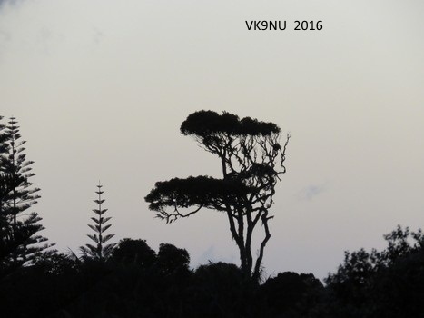 View at Burnt Pine, Norfolk Island, before sunrise