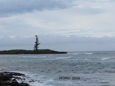 Lone Pine, Emily Bay, Norfolk Island